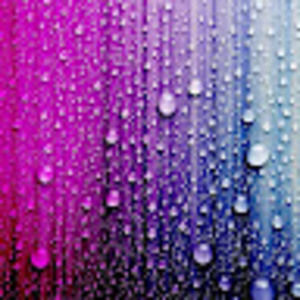 Meet your Posher, Selvira